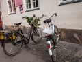 Bicycles on a Copenhagen Street