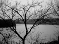 IMG_2770_3126.jpg