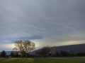 untitled shoot_011615-88.jpg