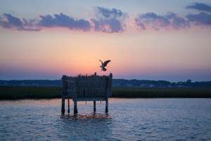 Sunset on Chincoteague